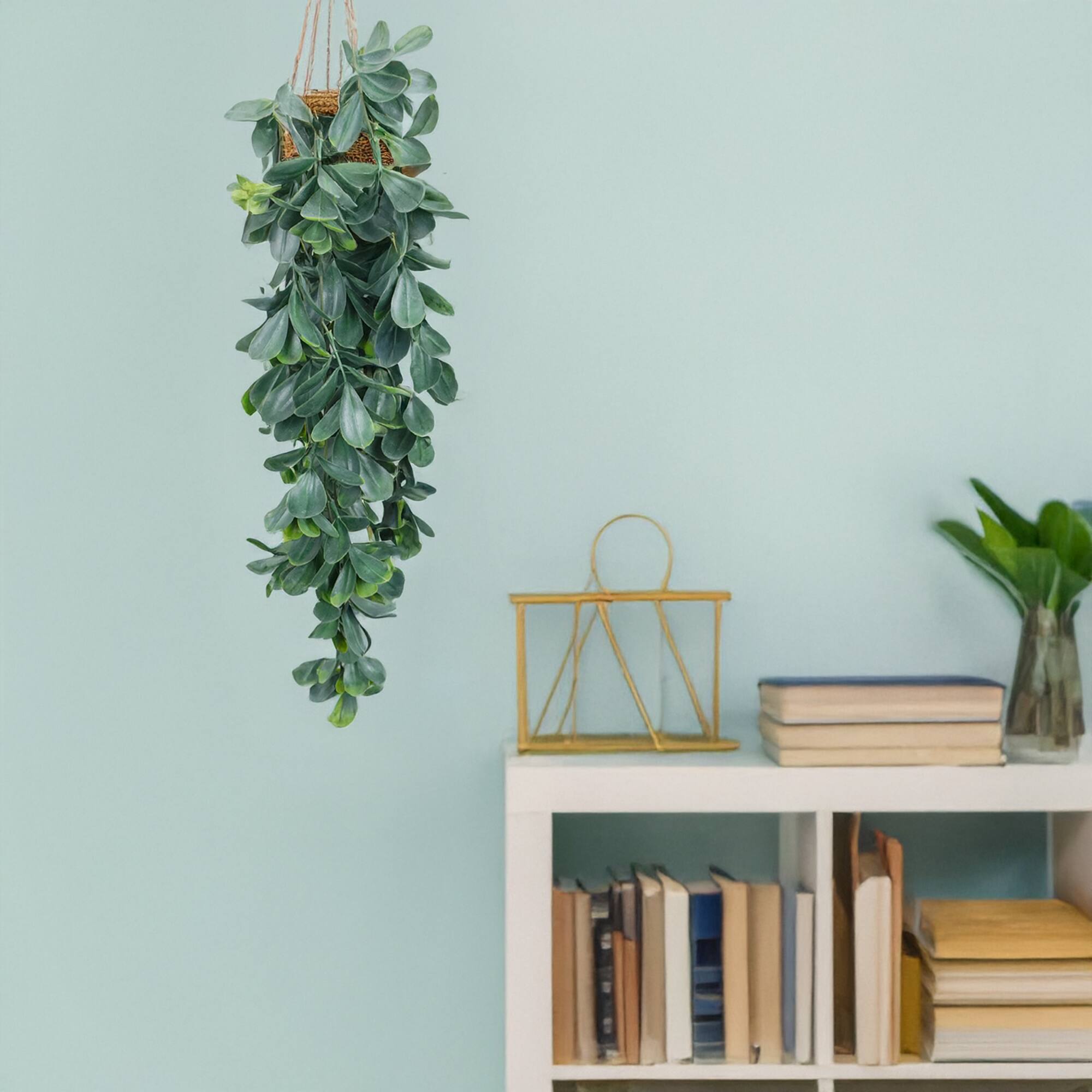 30" Trailing Jade Bush by Ashland®